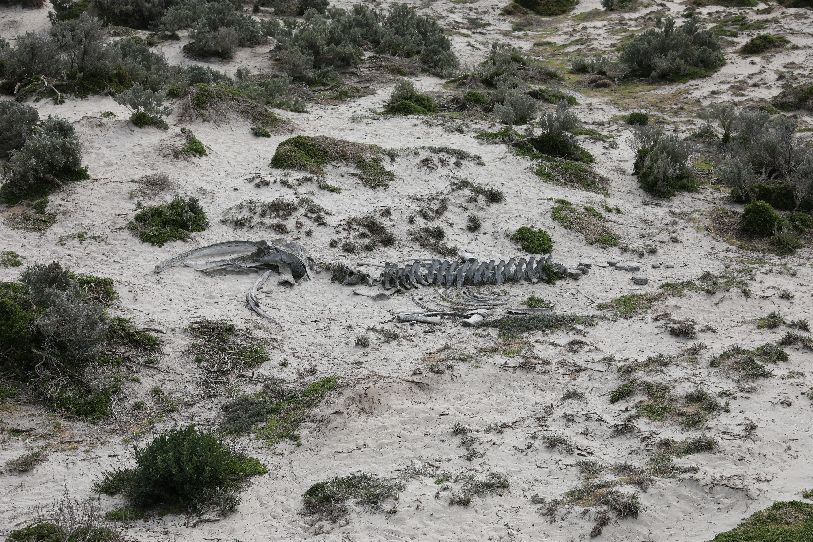 2019 09 29 13 41 21 Canon EOS 5D Mark IV 0034